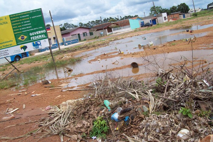 Dengue | TERRENO DA PREFEITURA OFERECE RISCO À POPULAÇÃO