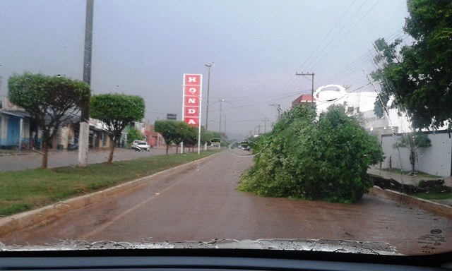 Ventania que durou 10 minutos provoca estragos em área urbana de Cerejeiras