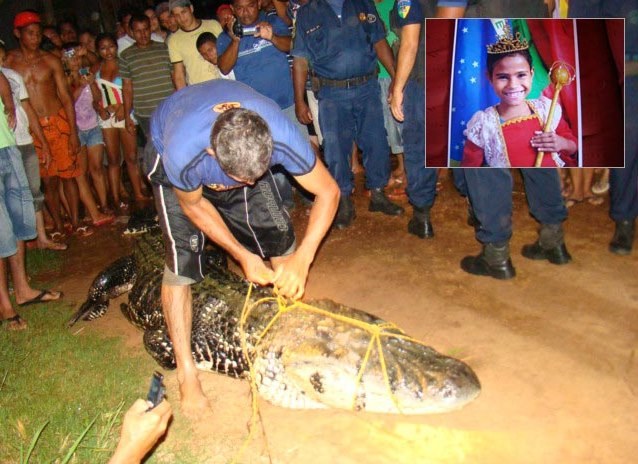 JACARÉ DEVORA MENINA DE 12 ANOS