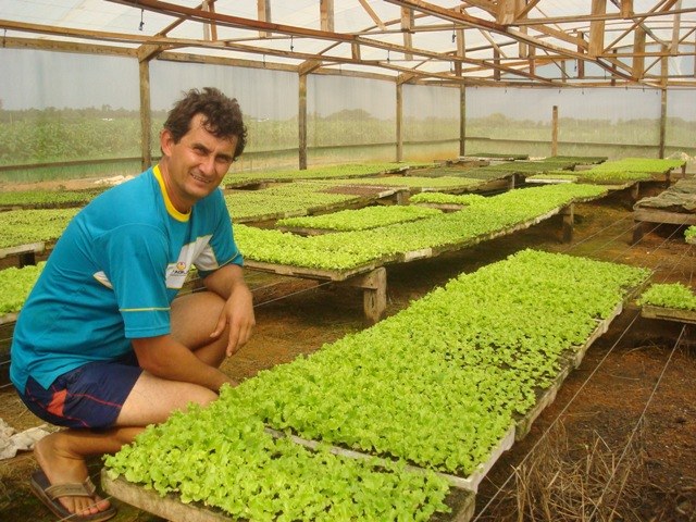 VERDURAS PRODUZIDAS EM VILHENA VÃO ALIMENTAR PEÕES DE MEGA-USINA