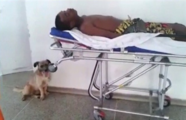 AMIGO FIEL (1)