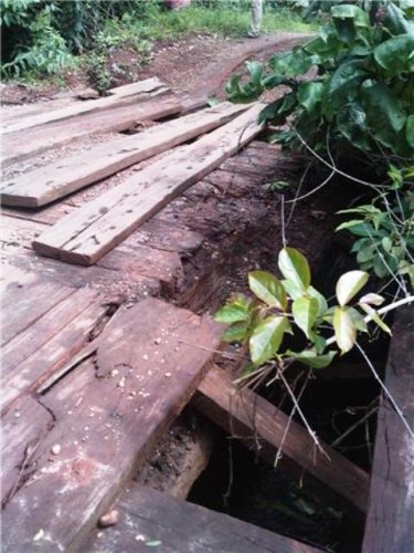 ABANDONADA HÁ 20 ANOS, ESTRADA DO CAPIM TERÁ 40 QUILÔMETROS RECUPERADOS