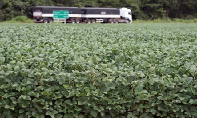 Área de soja cresce 20% e Vilhena continua liderando produção em Rondônia