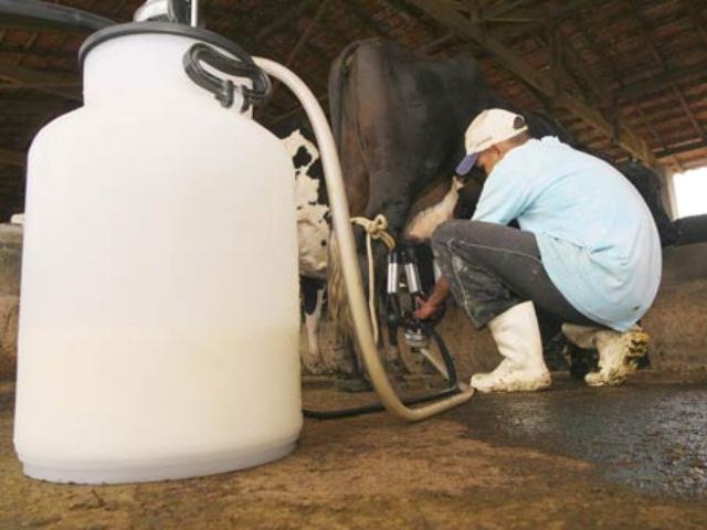 Produtores de leite de duas cidades do Cone Sul começam a deixar a atividade
