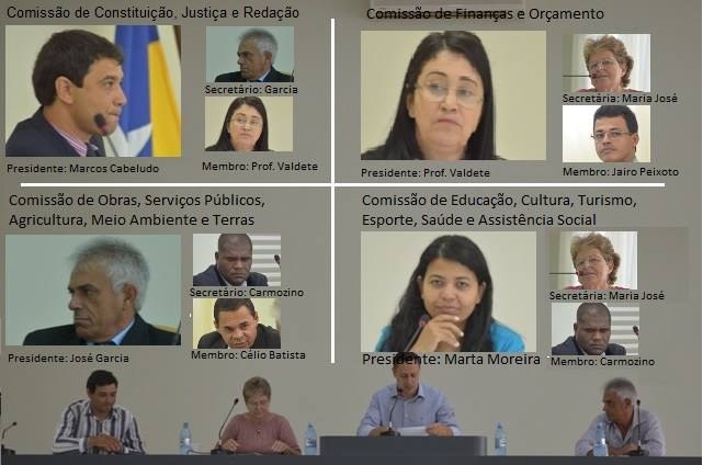 Em sessão extraordinária, Câmara aprova integrantes das comissões permanentes 