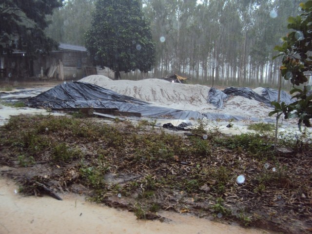 DINHEIRO JOGADO NA LAMA: CALCÁRIO EMPEDRA DEBAIXO DE CHUVA EM VILHENA