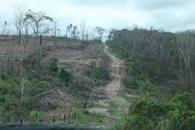 Exclusivo: fazenda de contador assassinado em Vilhena é invadida por garimpeiros