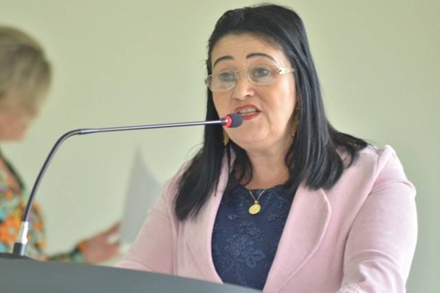 Vilhena: vereadora quer estender benefício fiscal da Havan a todas as empresas