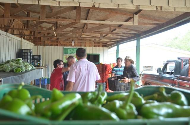 Compra de alimentos beneficia agricultores e famílias de baixa renda em Vilhena
