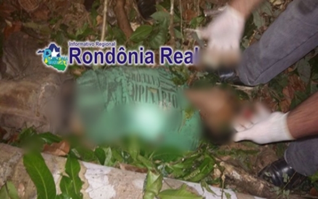 Em cidade do interior de Rondônia, homem de 35 anos morre esmagado por árvore