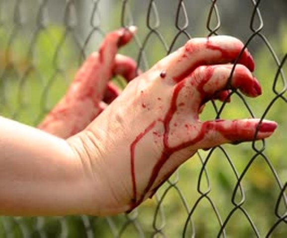 Ferida, mulher se refugia em delegacia após livrar o filho da morte em Vilhena