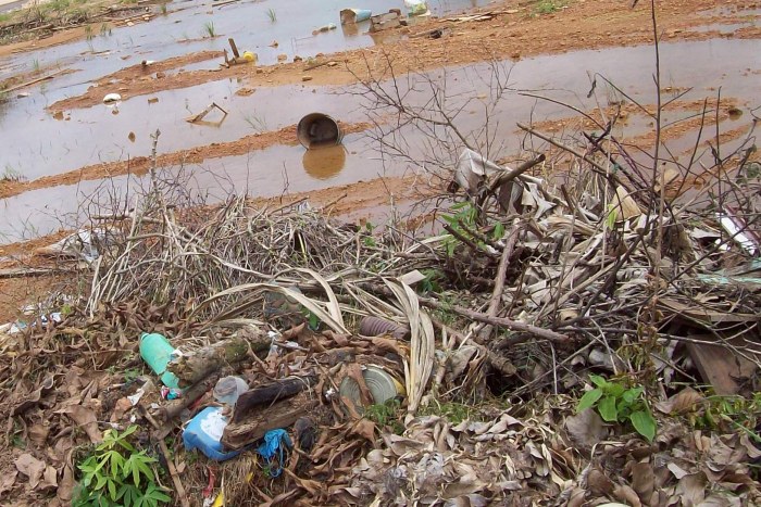PREFEITURA NOTIFICA DONOS DE TERRENOS BALDIOS