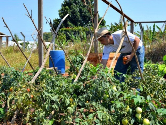 Projeto de estudantes de Agronomia melhora a vida de idosos em Vilhena