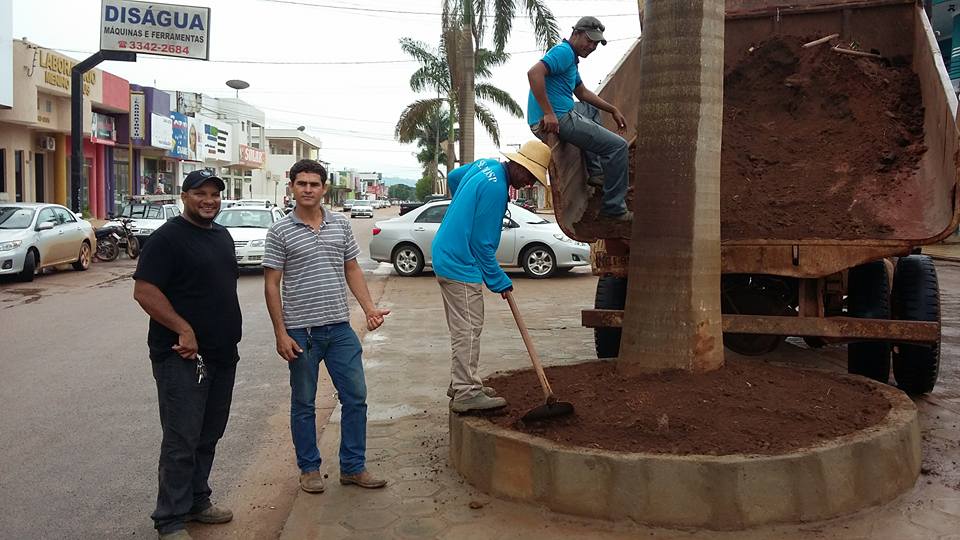 Prefeitura e voluntários se unem para plantio de flores em avenida de Cerejeiras