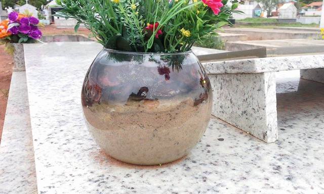 Após Dia de Finados, cemitério de Vilhena vira criadouro de mosquito da dengue