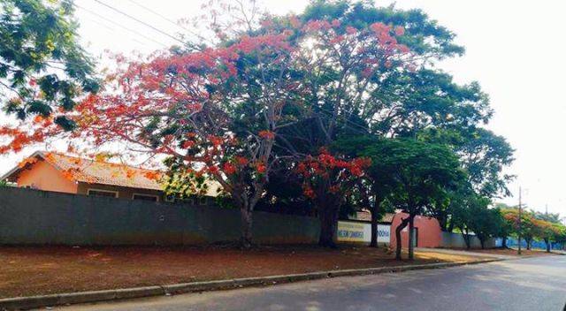 Denunciada por pais, educadora vilhenense é elogiada pela secretária de Estado