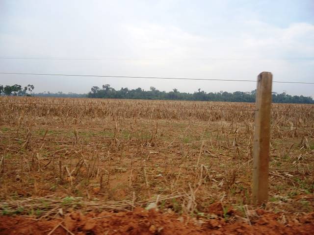 Estiagem já preocupa agricultores e ameaça afetar toda a economia do Cone Sul