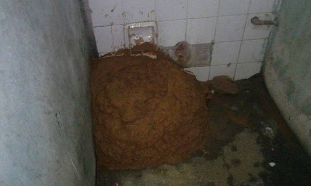 Agentes penitenciários encontram buraco e impede fuga na Colônia Penal de Vilhena