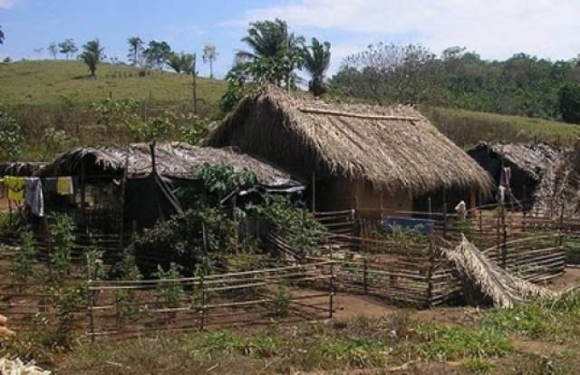 Incra, PF e MPF realizam ação em fazenda que serviu para reforma agrária no Cone Sul