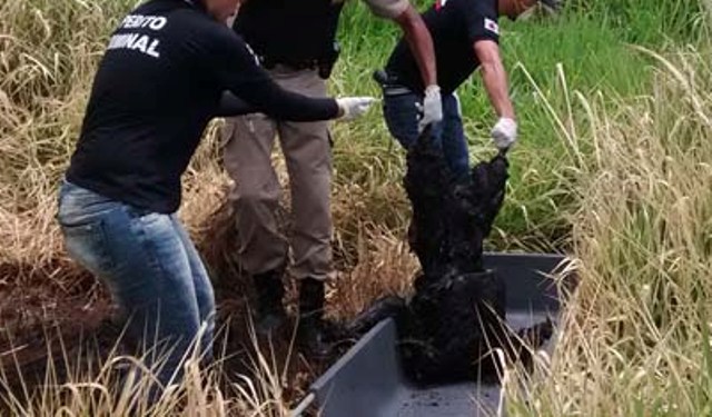 Corpo de idoso vilhenense é encontrado com sinais de esquartejamento em fazenda