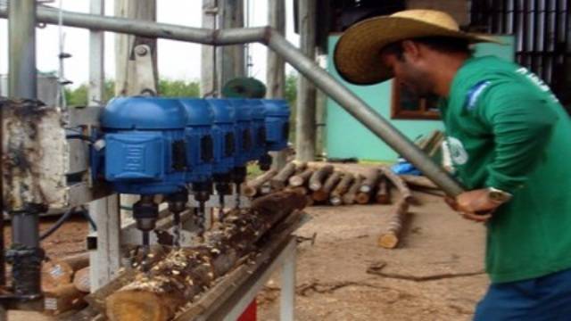 Empresário troca venda de seguros por indústria de eucalipto e se dá bem em Vilhena
