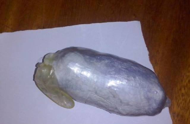 Condenada por tráfico, vilhenense tentar entrar em presídio com drogas na vagina