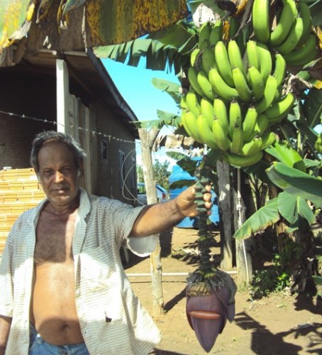 SEM O ESTADO, AGRICULTURA FAMILIAR ESTARIA AMEAÇADA EM RONDÔNIA