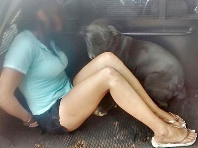Em cidade próxima a Vilhena, cadela entra em viatura ao ver a dona ser presa por tráfico