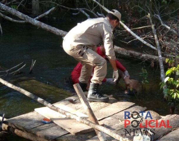Corpo com marcas de violência é encontrado boiando em rio na zona rural de Vilhena