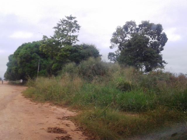 Para combater o Aedes Aegypti, prefeitura vai multar terrenos baldios em Cerejeiras