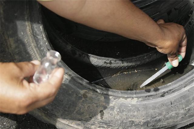 EM VILHENA, 90% DOS FOCOS DA DENGUE ESTÃO DENTRO DE CASA