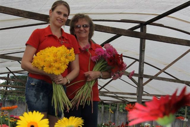 Família pioneira na horticultura hoje fatura com o cultivo de flores em Vilhena