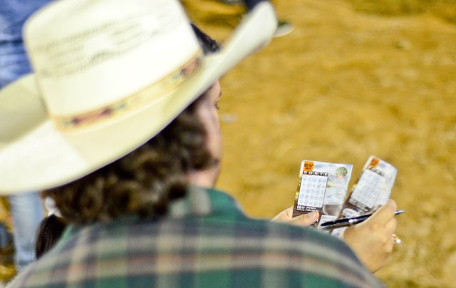 Faltando três dias para encerramento, Aviagro baixa valor da cartela na Expovil