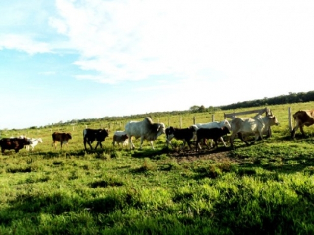 Através do “Terra Legal”, governo promete regularizar 1.500 propriedades rurais no Cone Sul