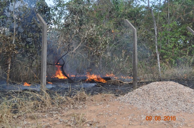 Incêndio atrás da Unir coloca vizinhança em alerta e mobiliza Bombeiros de Vilhena