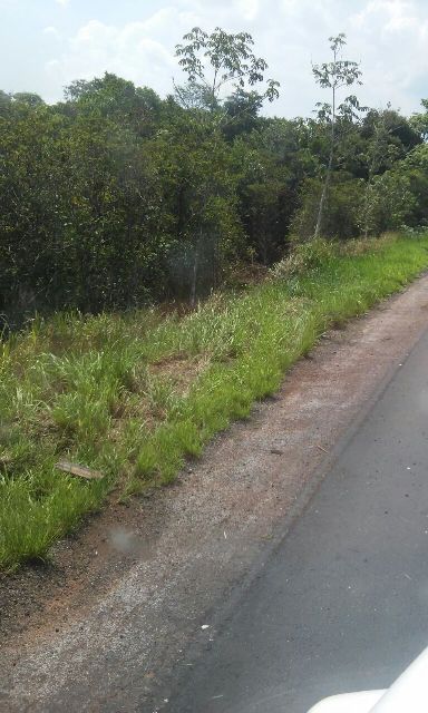 Cuidado, foto chocante! Motoqueiro tem corpo partido ao meio entre Vilhena e Comodoro