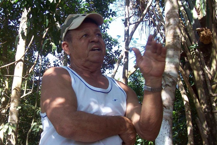 IDOSO PROTEGE BOSQUE DA UNIR