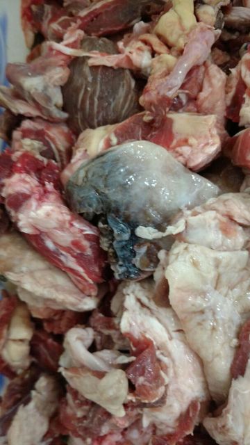 PF dá detalhes de operação que prendeu três em Vilhena; veja fotos de carne estragada apreendida