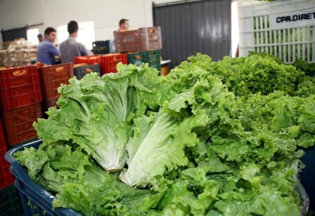 Em Vilhena, produtores começam colheita de legumes e frutas após chuvas irregulares