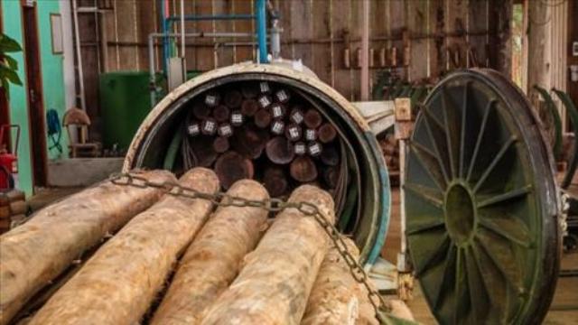 Governador promete ajuda a empresa pioneira no tratamento químico de madeiras em Vilhena