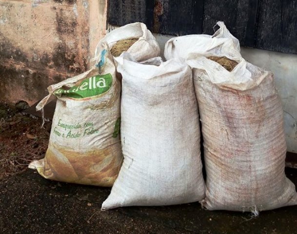 Cerejeiras: após bronca de moradora no Facebook, prefeitura promete recolher grama ensacada