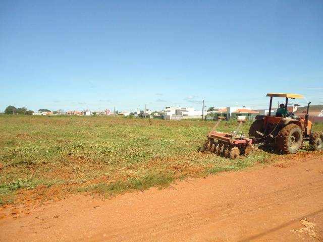 Vilhena tem 16 mil lotes vagos; prefeitura vai limpar terrenos baldios e multar proprietários