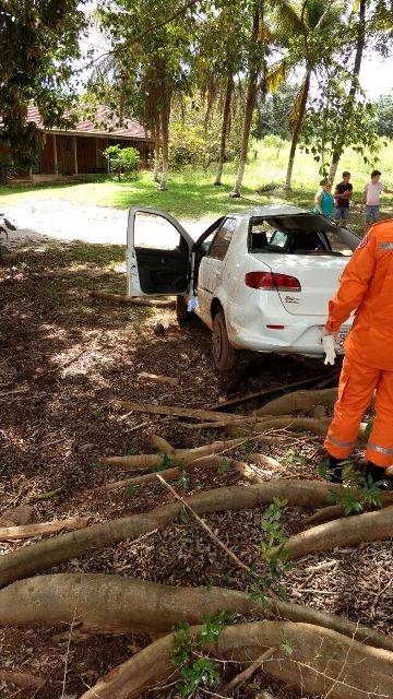 URGENTE: carro bate em árvore deixando adolescente morta e rapaz ferido em Cerejeiras