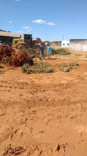Advogado denuncia derrubada de árvores em Vilhena, mas órgãos ambientais ignoram