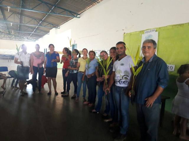 A natureza agradece: voluntários plantam árvores e fazem conscientização ambiental em Corumbiara