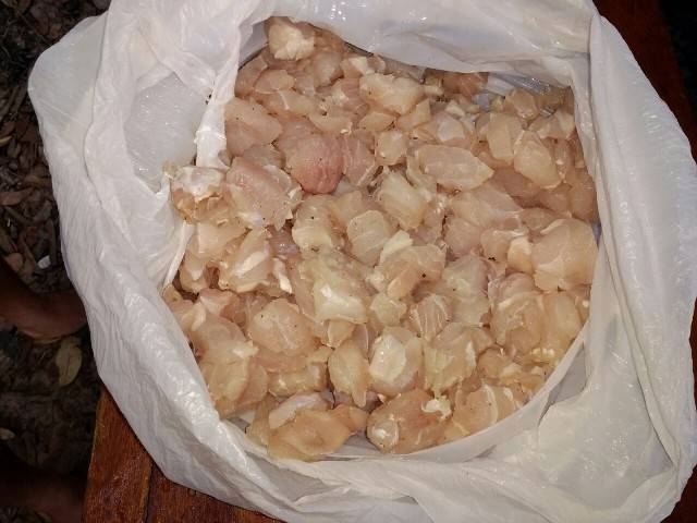 Polícia Ambiental flagra homem transportando carne de jacaré que seria entregue em Vilhena