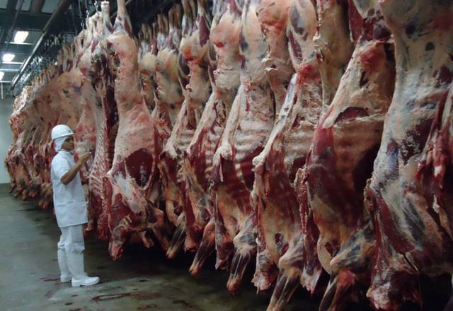 Friboi faz primeiro abate de animais enquadrados no protocolo Carnes Angus Certificada em Vilhena