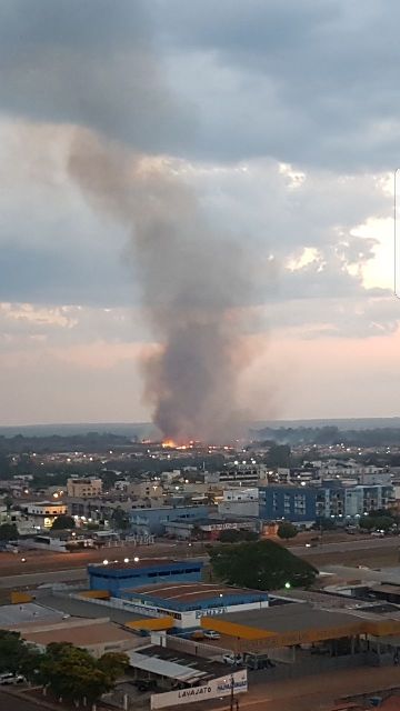 Incêndio em vegetação no setor de chácaras mobiliza Bombeiros em Vilhena; animais fogem para a cidade