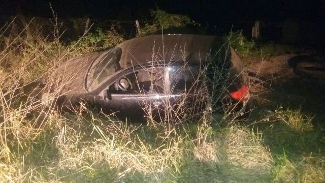 Após atropelar capivara na BR 435, carro com placas de Vilhena e dois a bordo sai da pista