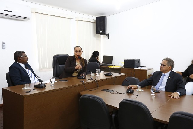 Rosangela Donadon participa de Comissões com deputados em busca de melhorias para o Cone Sul 